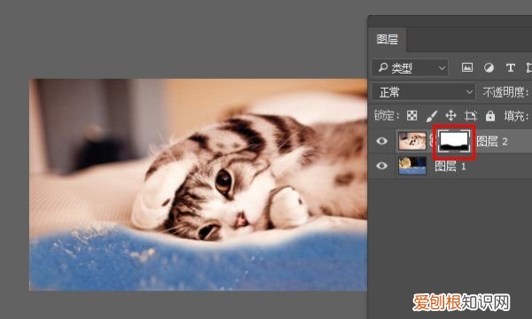 ps怎么加蒙版遮盖，PS可以怎么样添加图层蒙版