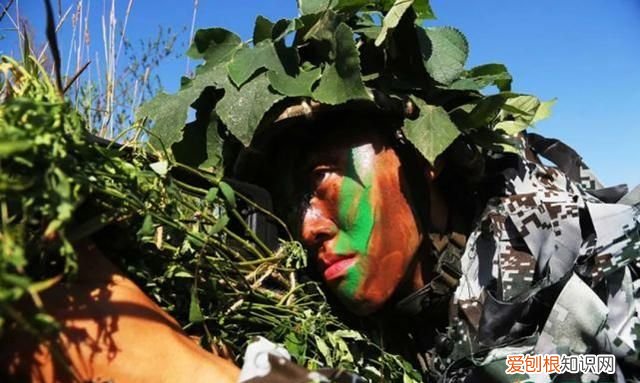 十大军事基地是哪些