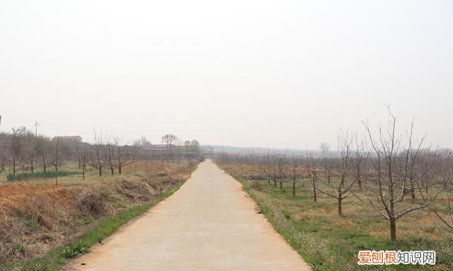 栖霞县志于姓 烟台栖霞村庄名