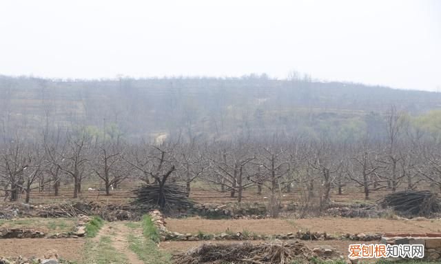 栖霞县志于姓 烟台栖霞村庄名