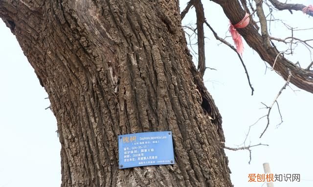 栖霞县志于姓 烟台栖霞村庄名