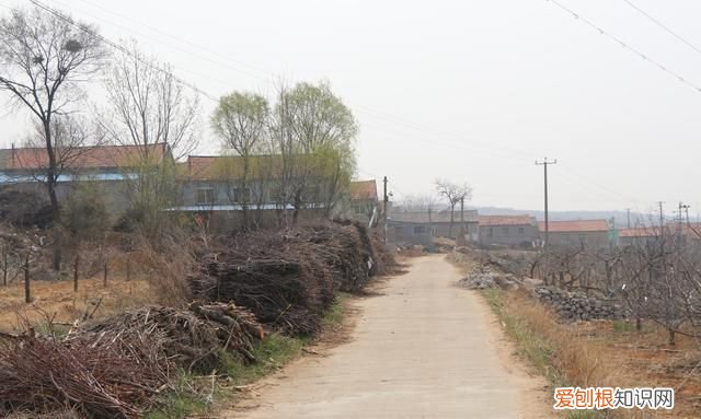 栖霞县志于姓 烟台栖霞村庄名