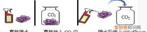 初三化学上册二氧化碳和一氧化碳 二氧化碳的物理和化学性质初中