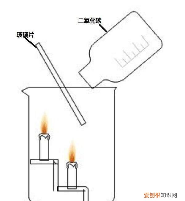 初三化学上册二氧化碳和一氧化碳 二氧化碳的物理和化学性质初中