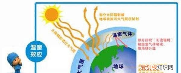 初三化学上册二氧化碳和一氧化碳 二氧化碳的物理和化学性质初中