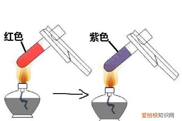 初三化学上册二氧化碳和一氧化碳 二氧化碳的物理和化学性质初中