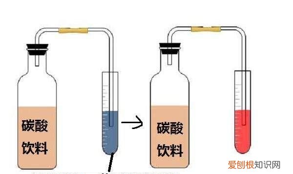 初三化学上册二氧化碳和一氧化碳 二氧化碳的物理和化学性质初中