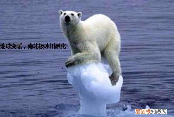 初三化学上册二氧化碳和一氧化碳 二氧化碳的物理和化学性质初中