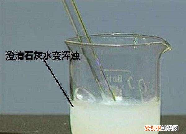 初三化学上册二氧化碳和一氧化碳 二氧化碳的物理和化学性质初中