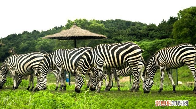 沈阳十大必玩景点 沈阳有什么好玩的地方