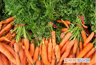 哪些蔬菜的热量低,卡路里最低的蔬菜是什么菜