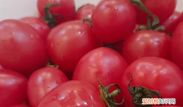 哪些蔬菜的热量低,卡路里最低的蔬菜是什么菜