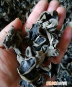 干木保质期多久，干木耳能保存多久