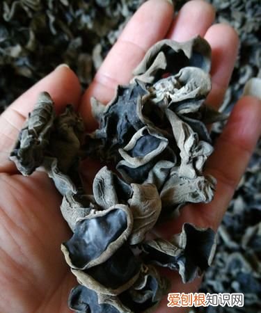 干木保质期多久，干木耳能保存多久