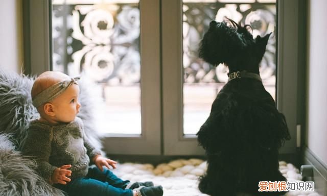 充满阳光的男孩名字,好听的阳光男孩名