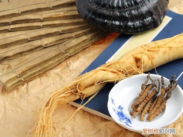 土茯苓和茯苓的区别 注意别吃错了 土茯苓与茯苓的区别