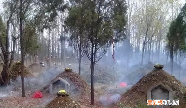 上坟选什么日子最好 上坟选单日子或双日子有讲究吗