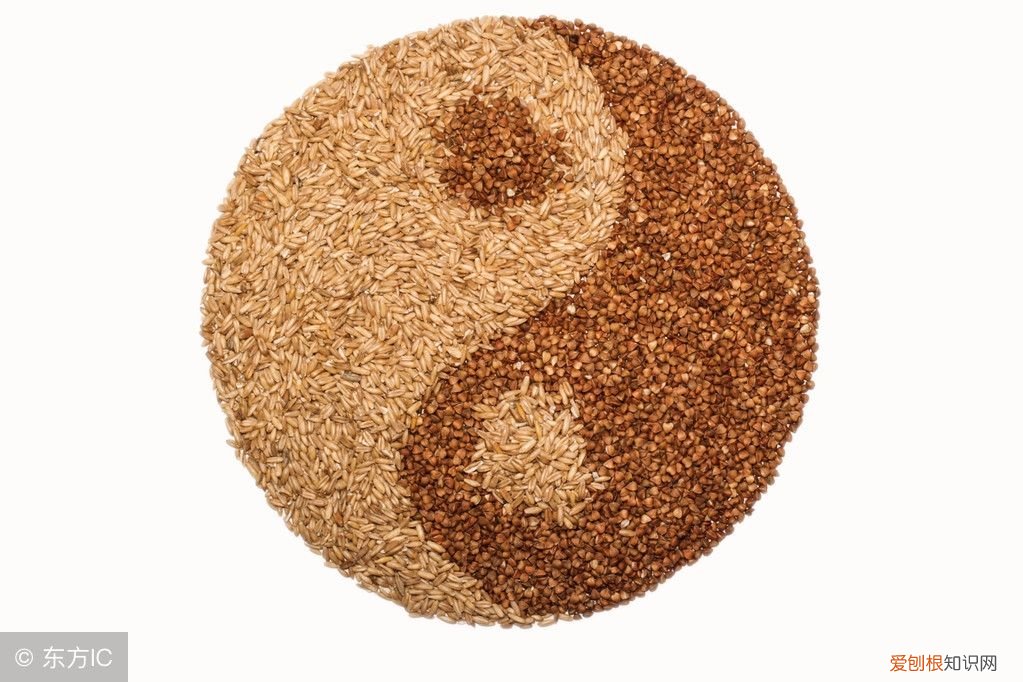 月表排日柱排时柱时辰对照表 日上起时表