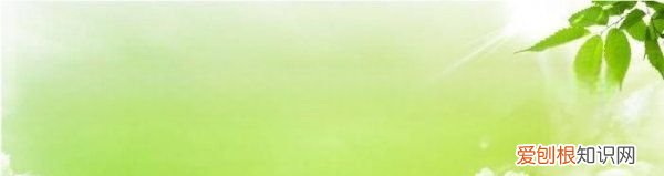 白肉和红肉的区别，红肉和白肉的区别是什么