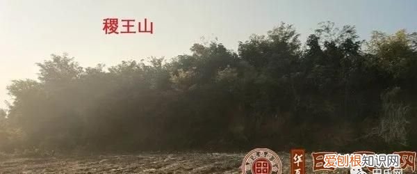 山东临淄田氏墓 临淄华夏田氏起源地