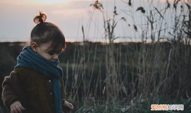 雁字回时月满西楼诗句 雁字回时月满西楼出自哪首诗