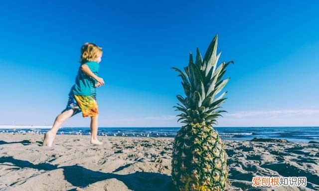 雁字回时月满西楼诗句 雁字回时月满西楼出自哪首诗