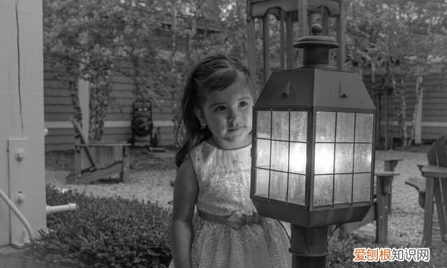 雁字回时月满西楼诗句 雁字回时月满西楼出自哪首诗