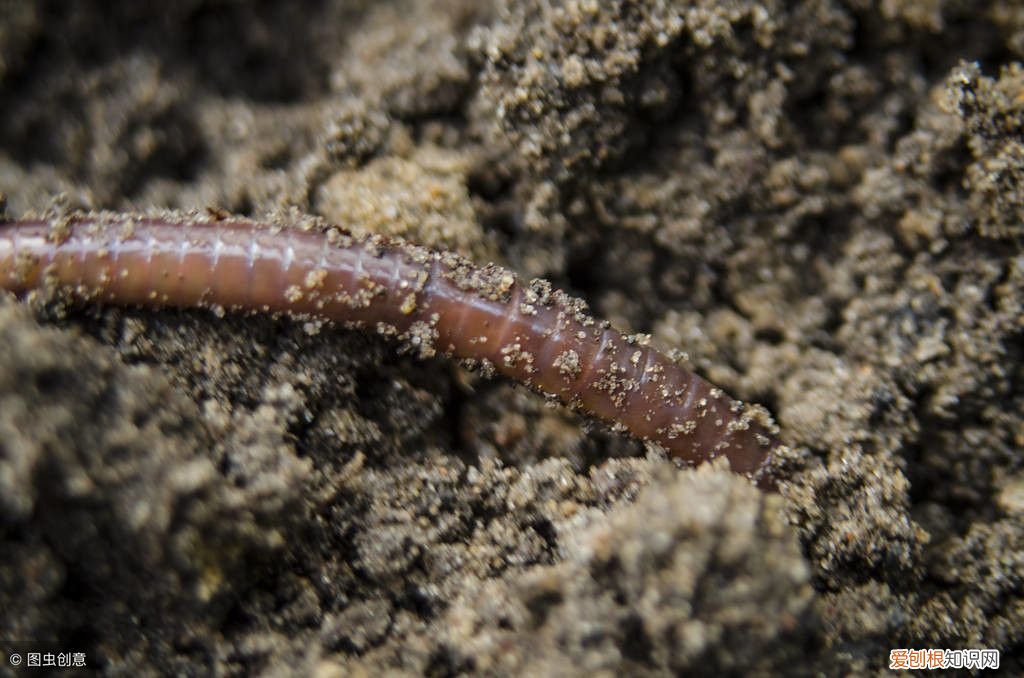 掌握这四大钓鱼技巧 钓鱼攻略