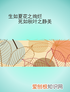 cdr怎么裁剪图片，cdr裁剪工具可以怎么样用