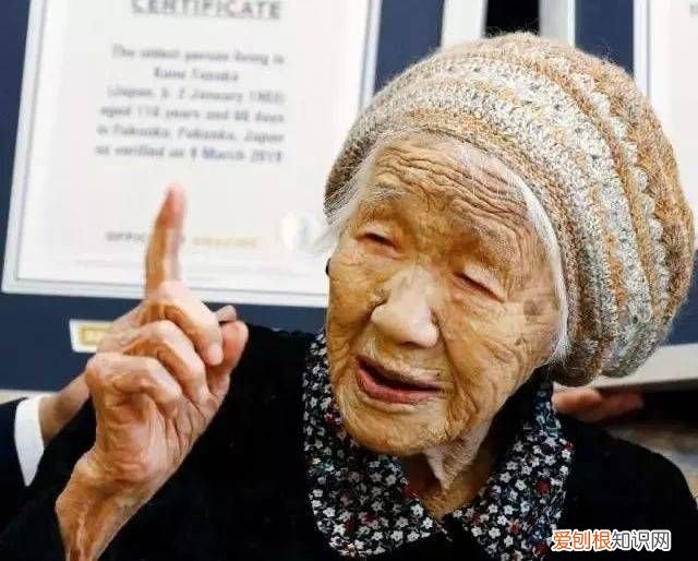 全球在世最长寿老人将再创纪录 全球最长寿老人