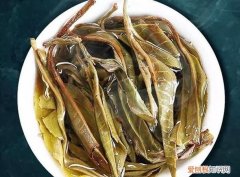 生茶和熟茶的区别，普洱生茶与熟茶的区别乌龙茶