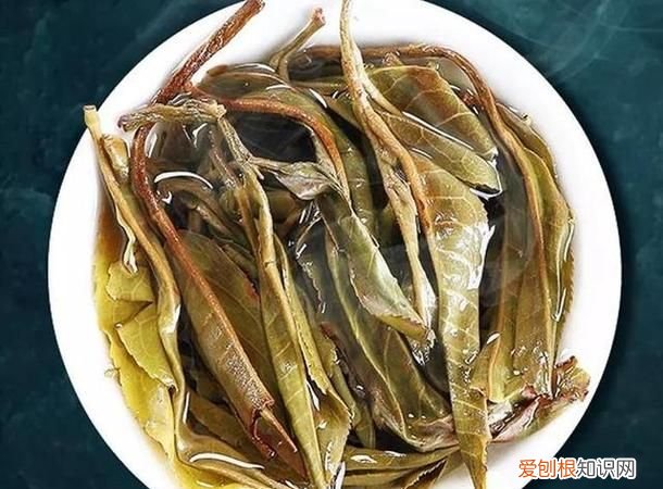 生茶和熟茶的区别，普洱生茶与熟茶的区别乌龙茶