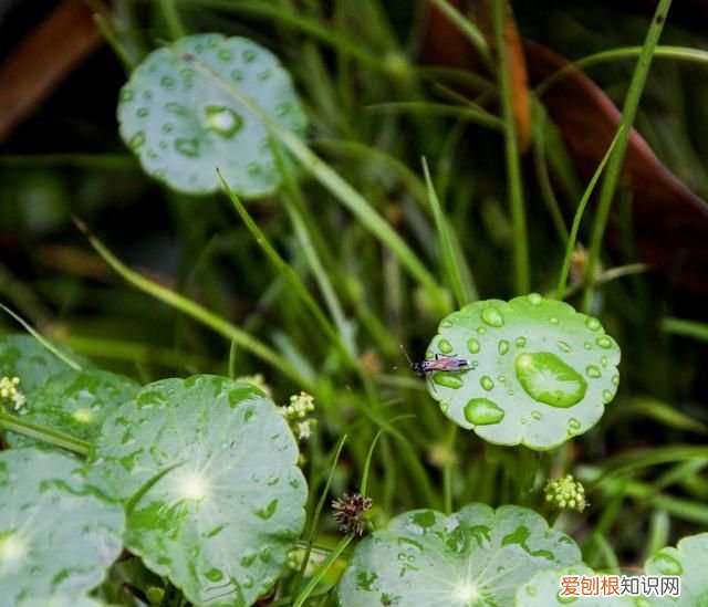 最适合下雨天读的宋词 描写秋雨连绵不绝的宋词