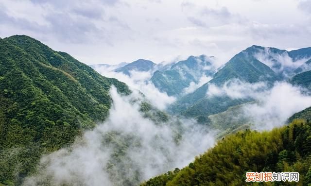 王维坐看云起时全诗 王维咏雨七律全文