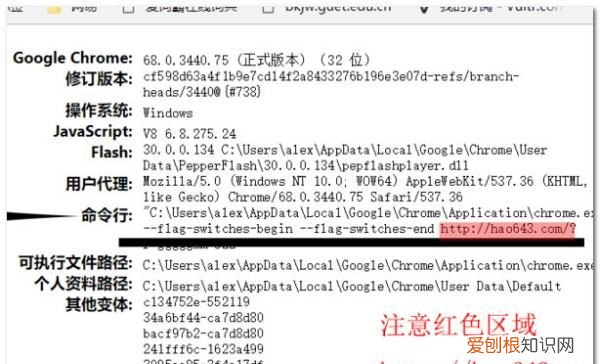 谷歌浏览器怎么设置主页,谷歌浏览器的主页该要怎样才可以设置