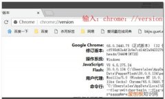 谷歌浏览器怎么设置主页，谷歌浏览器的主页该要怎样才可以设置