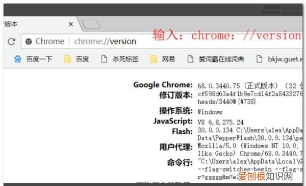 谷歌浏览器怎么设置主页,谷歌浏览器的主页该要怎样才可以设置