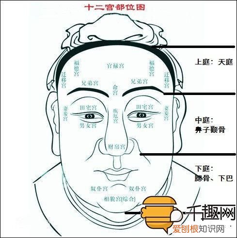 什么是天庭饱满地阁方圆？ 天庭饱满地阁方圆