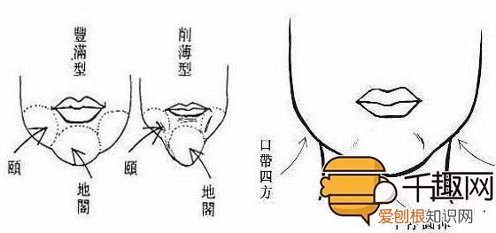 什么是天庭饱满地阁方圆？ 天庭饱满地阁方圆