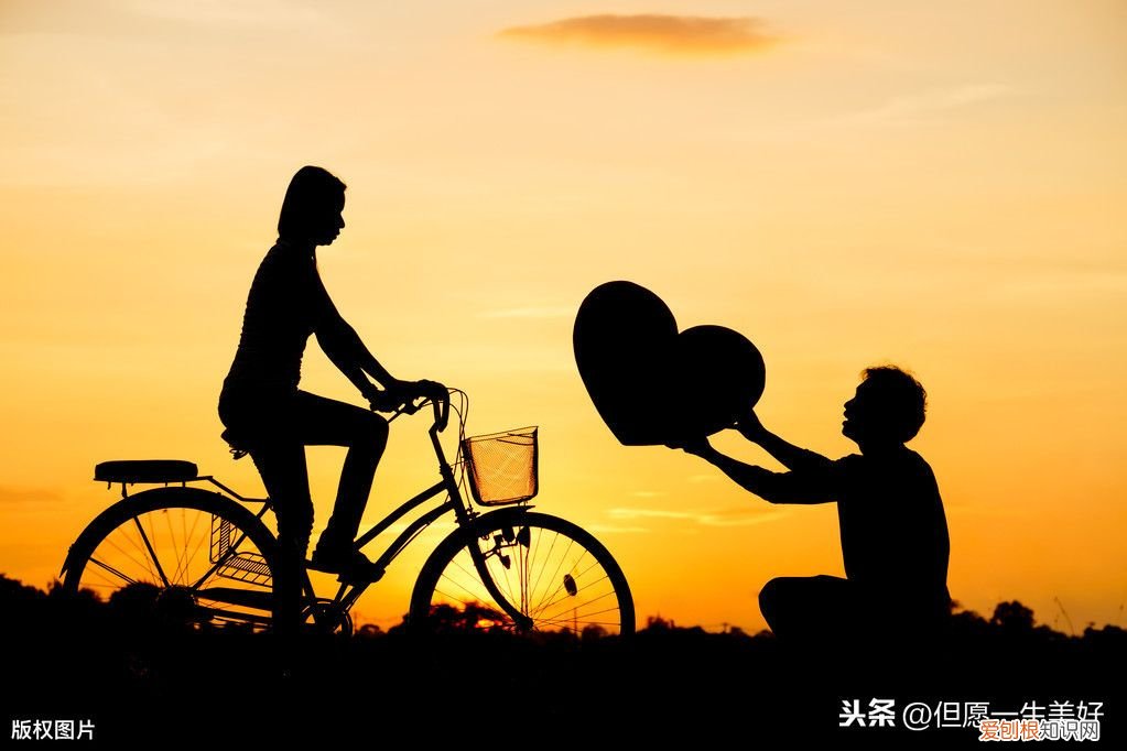 情感心理学39条定理 情感心理学