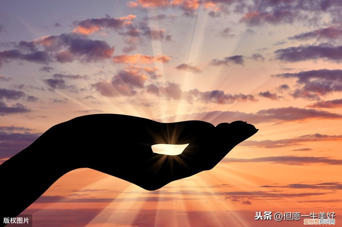 情感心理学39条定理 情感心理学