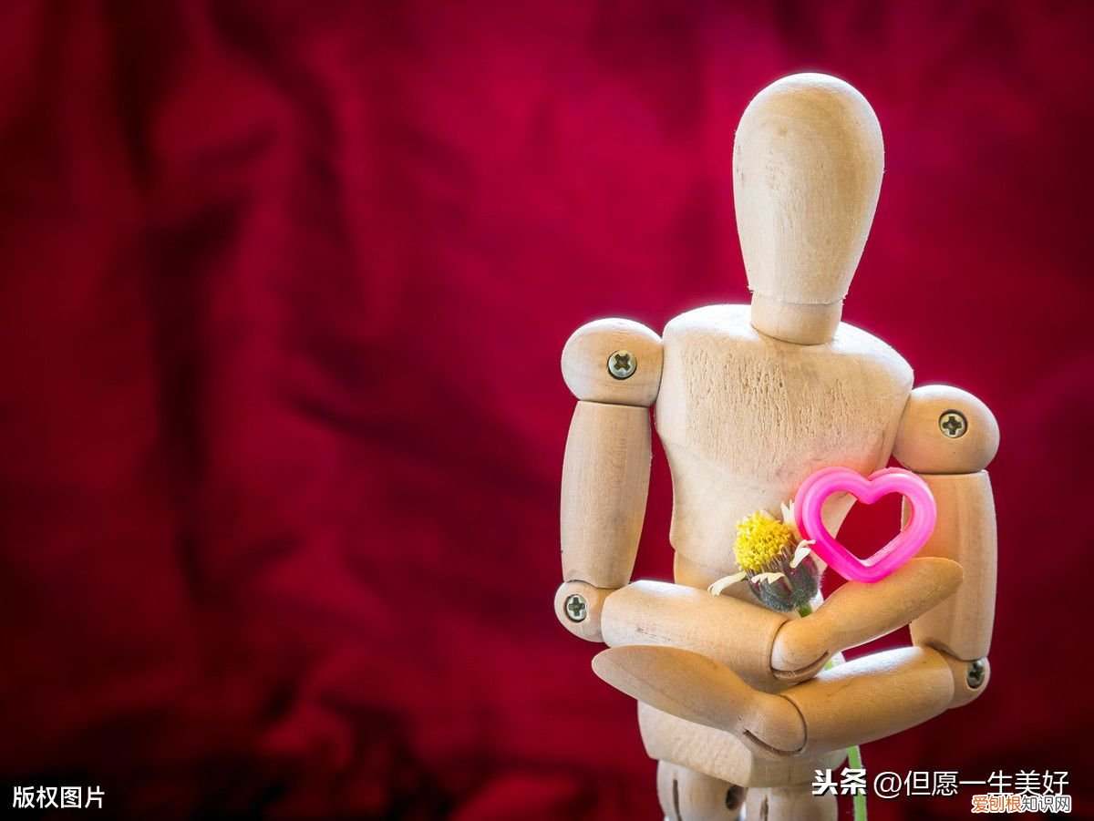 情感心理学39条定理 情感心理学