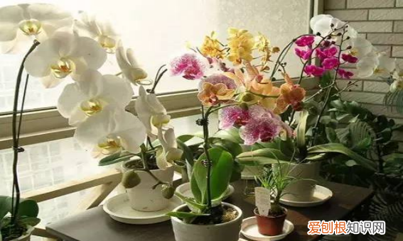 如何自己制作小礼物,手工精致小礼物怎么做3到4岁