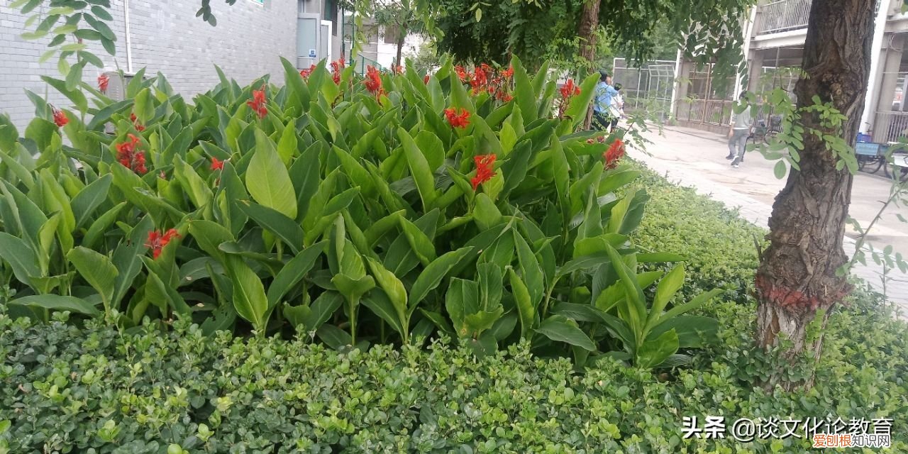 教研/什么是反思教学 反思性教学