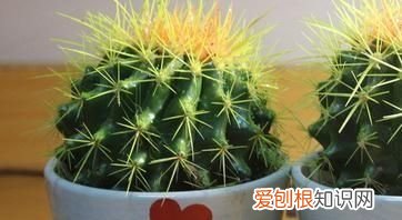 低碳生活小妙招，低碳生活小窍门有哪些