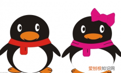 QQ登录信息查询方法 如何查看qq登陆记录