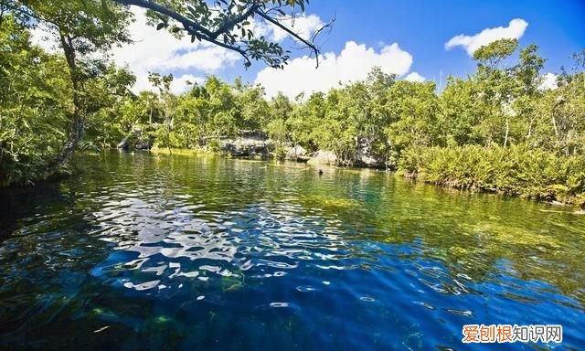 一抹浅浅的微凉,抚过这个淡淡的初秋静夜