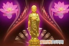 禅心已作沾泥絮 不逐春风上下狂