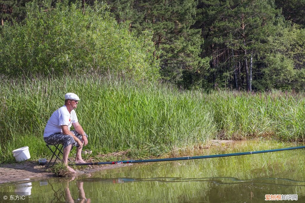 掌握这四大钓鱼技巧 怎样钓鱼呢