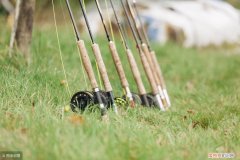 掌握这四大钓鱼技巧 怎样钓鱼呢